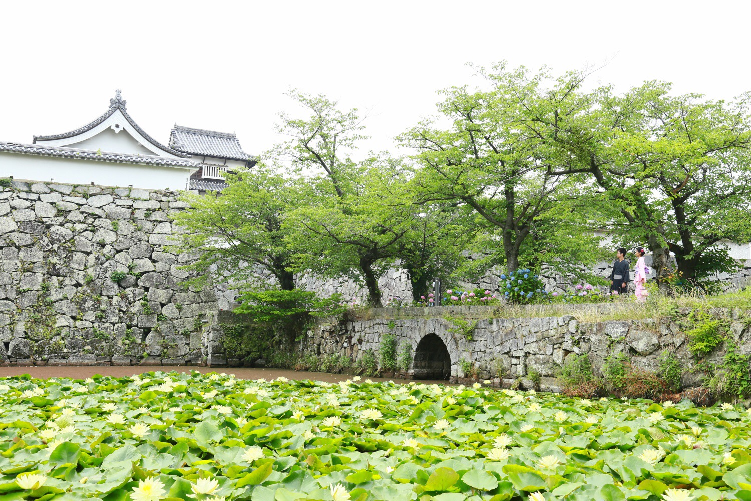 城跡 福岡 福岡城跡に残された、一段と高い天守台から福岡の街を眺める【九州縦断秋旅行記⑩】